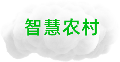 智慧农村