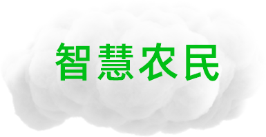 智慧农民